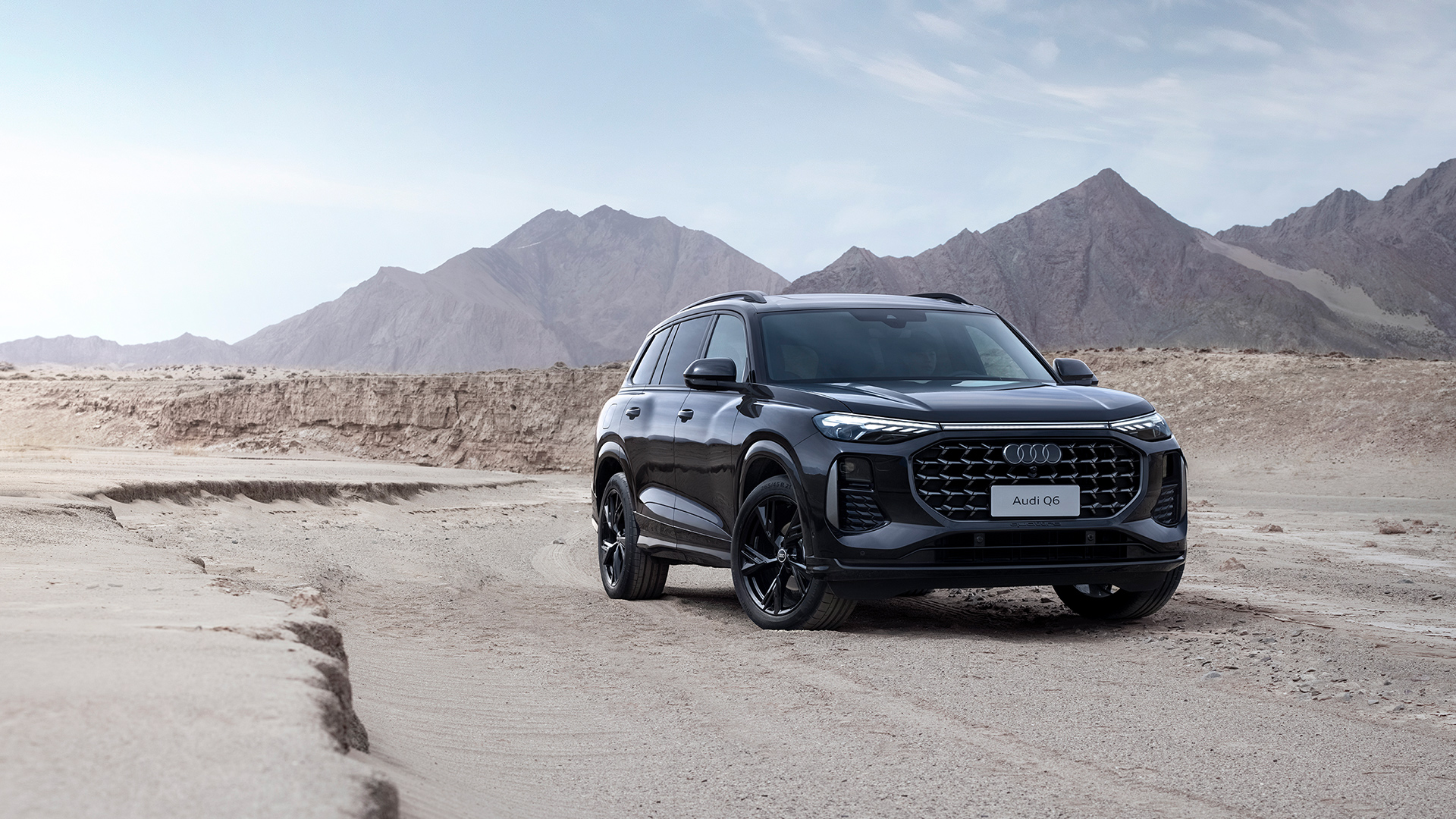 上汽奥迪 Audi Q6